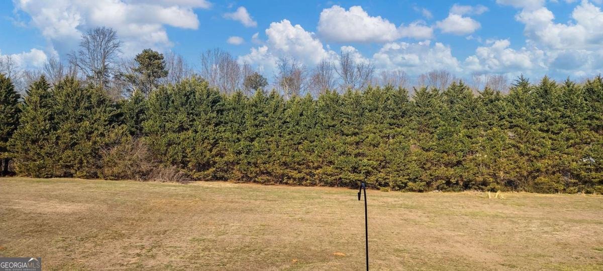 8258 Mountain Glen Drive Clermont - Photo 35