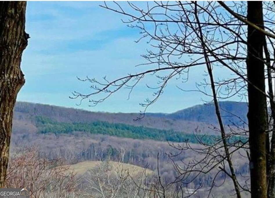 156 Sky High Drive Ellijay - Photo 9