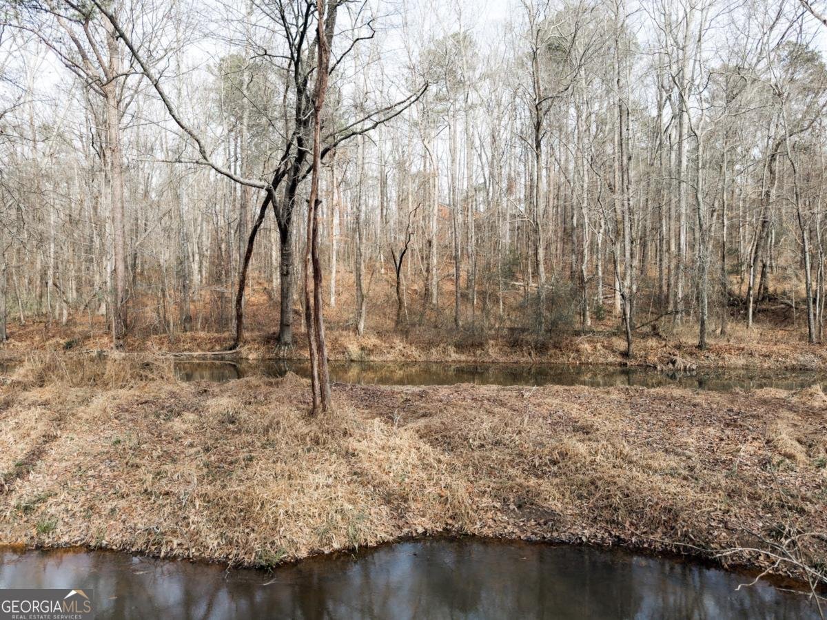 939 Jean Court Covington - Photo 51