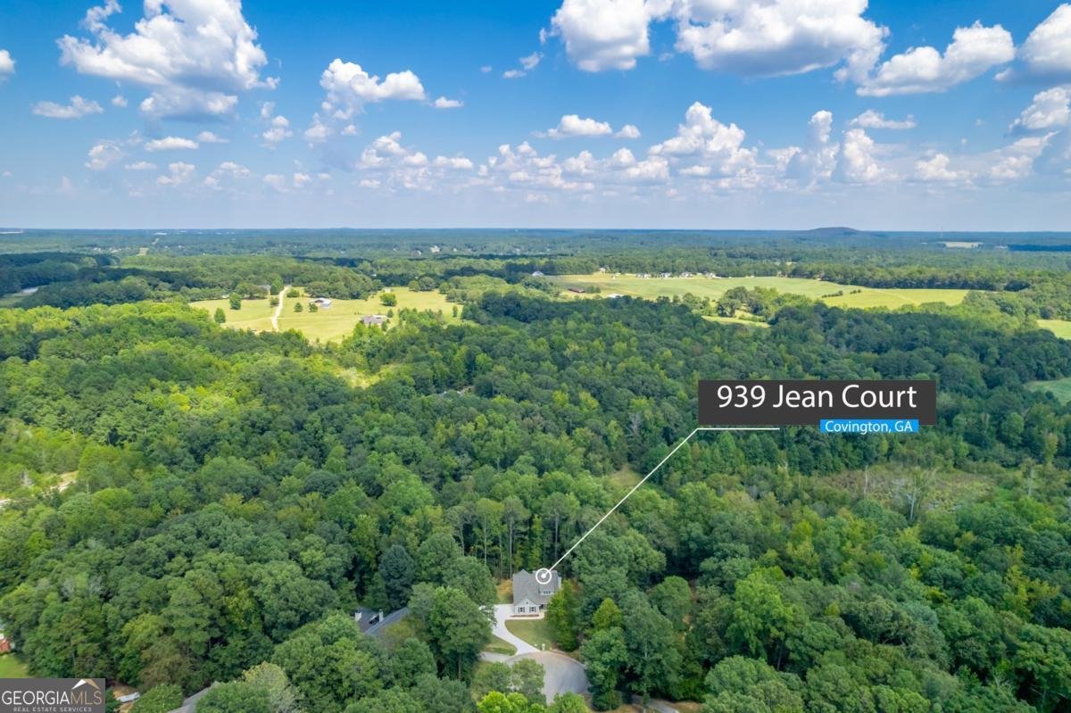 939 Jean Court Covington - Photo 8