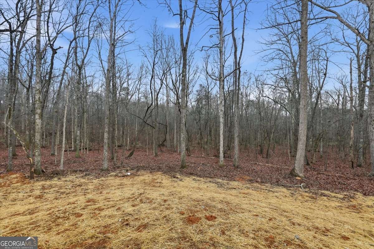 142 Alfred Drive Carrollton - Photo 43