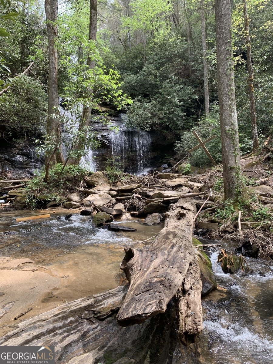 812 Covecrest Drive Tiger - Photo 55