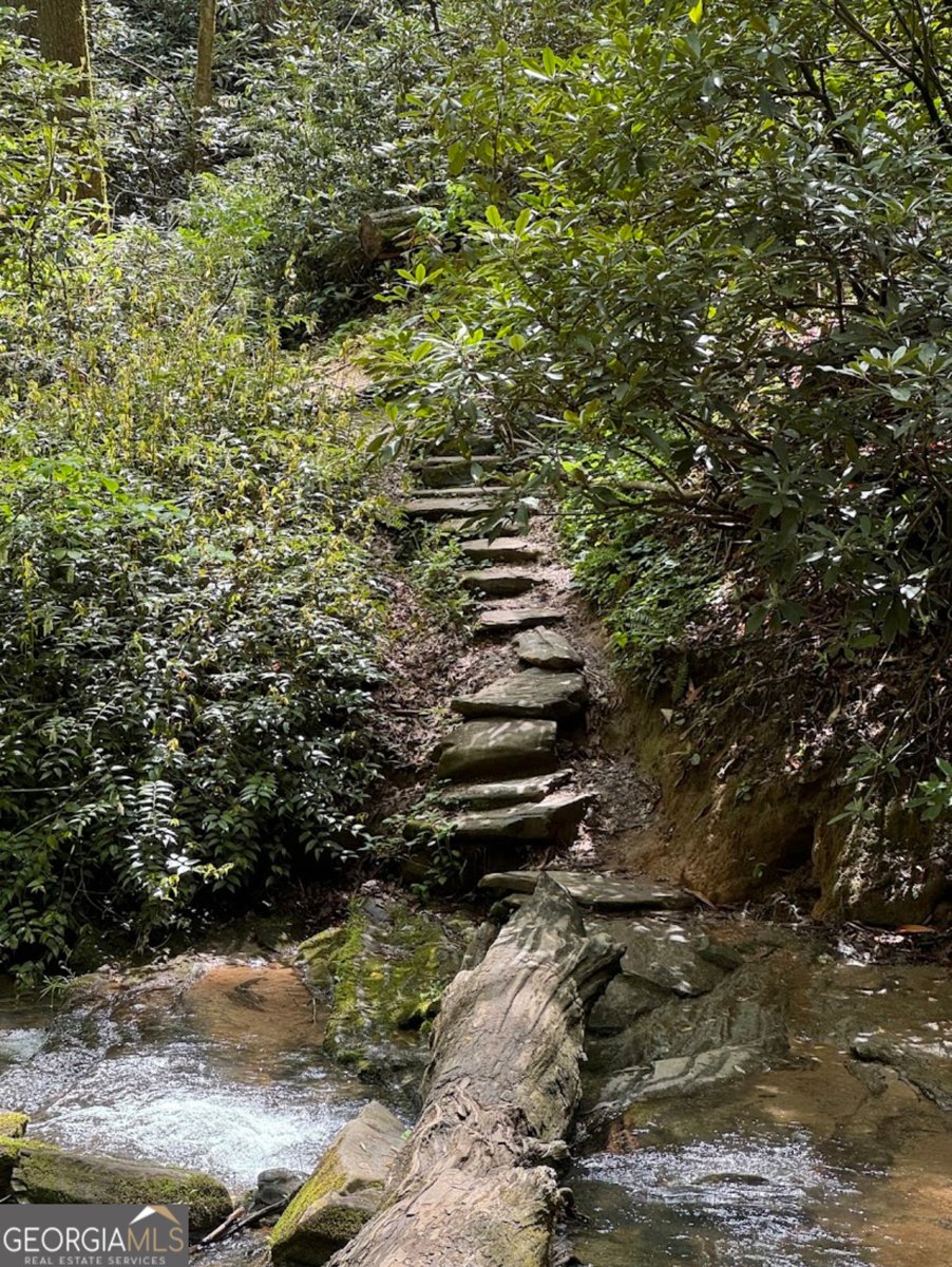 812 Covecrest Drive Tiger - Photo 58