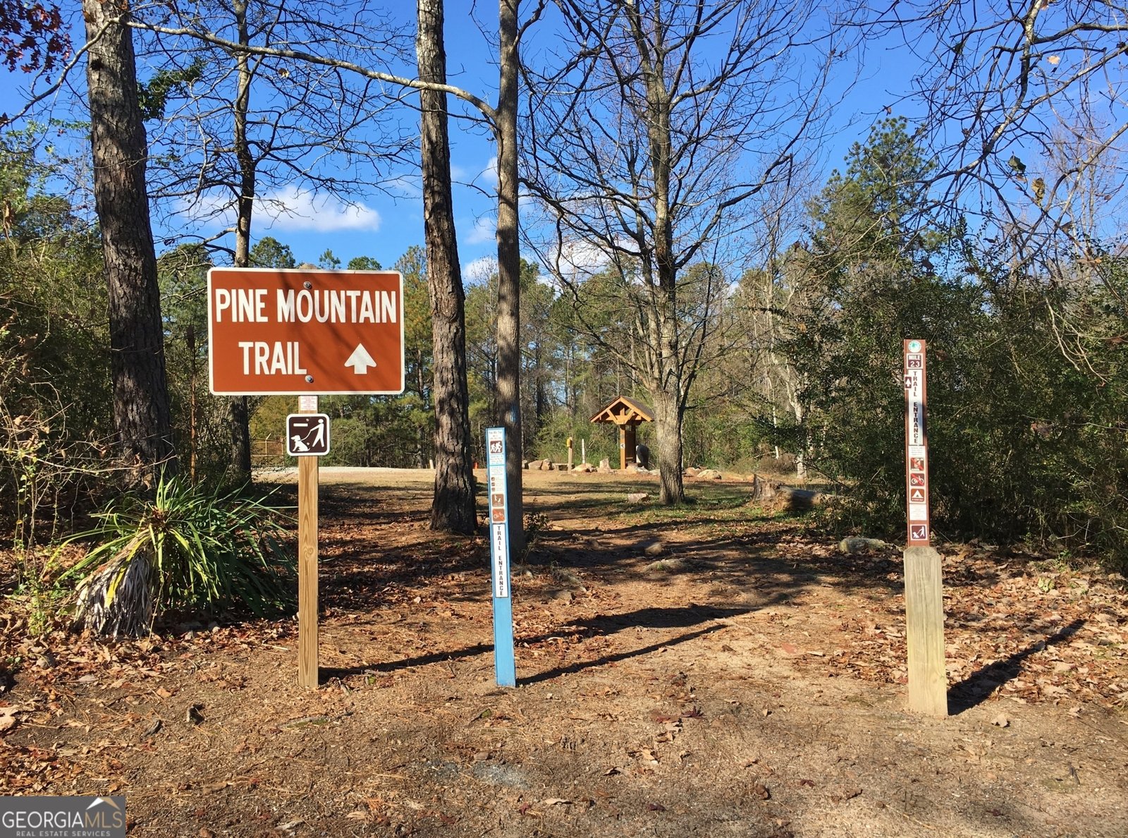 185 Royal Lodge Circle Warm Springs - Photo 51