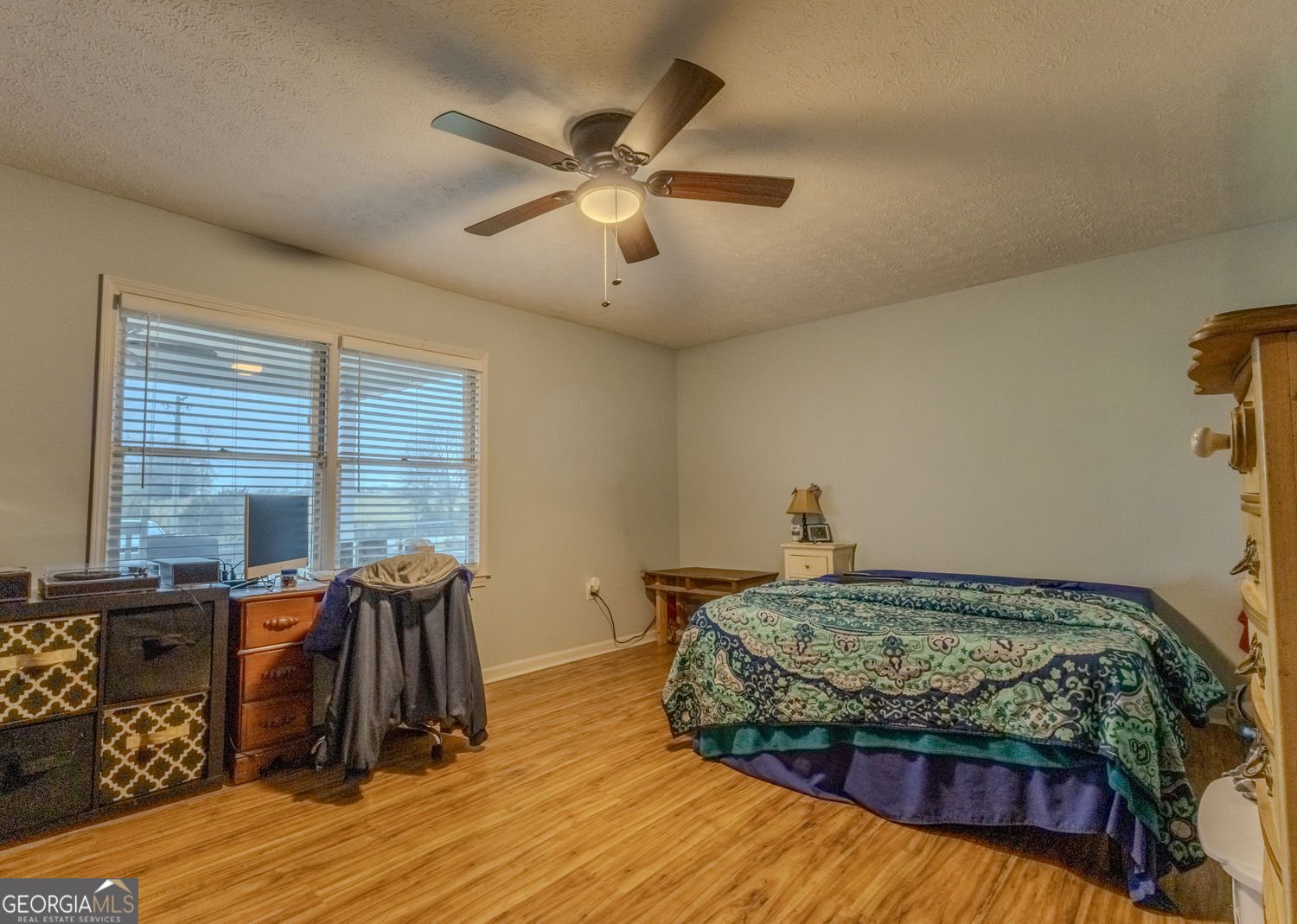 160 HWY 320 Carnesville - Photo 21