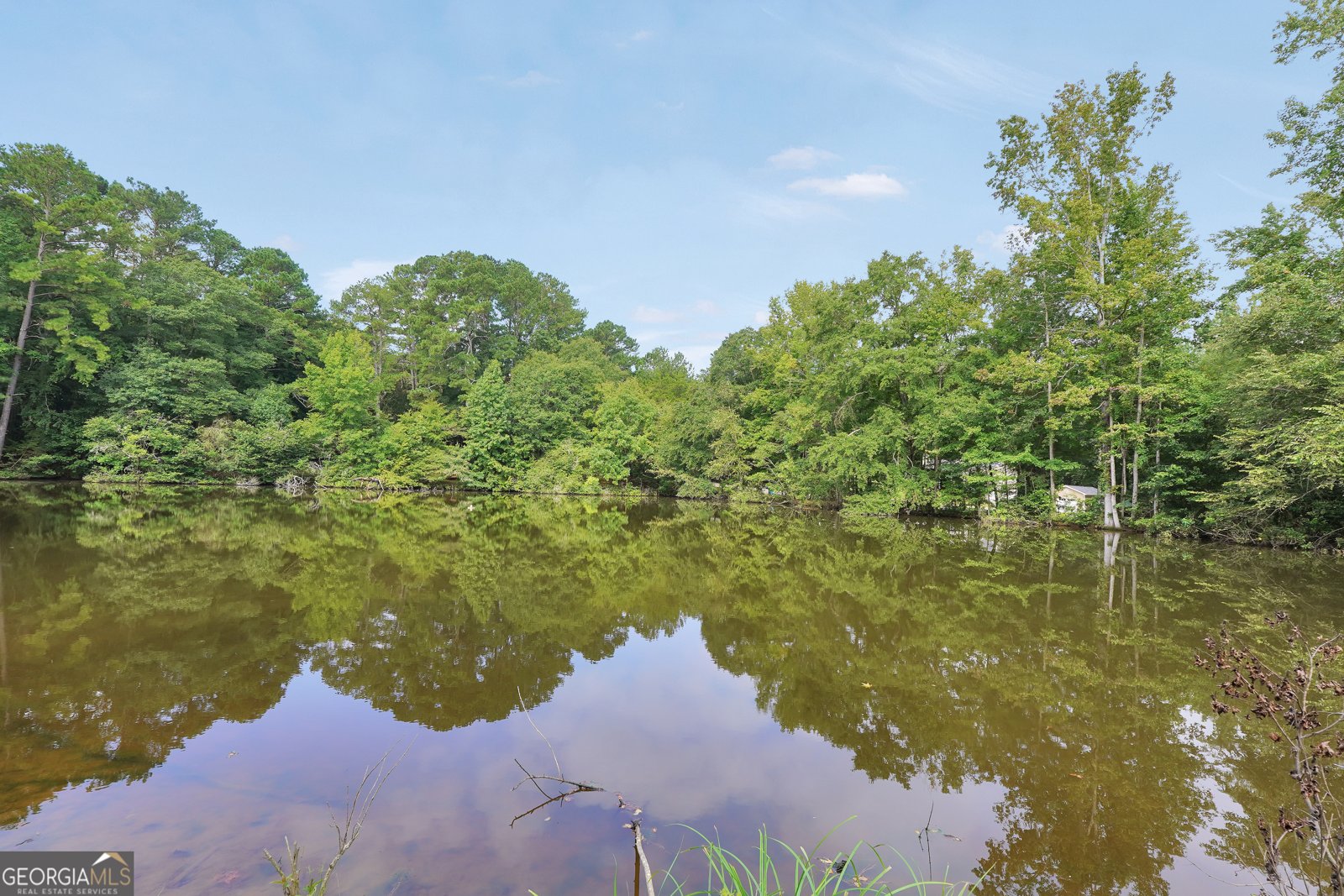 100 Wynnfield Boulevard McDonough - Photo 50