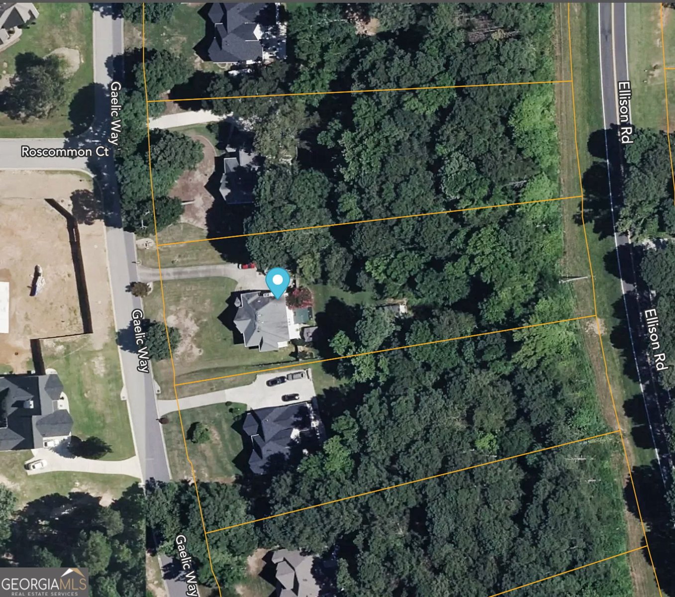 230 Gaelic Way Tyrone - Photo 48