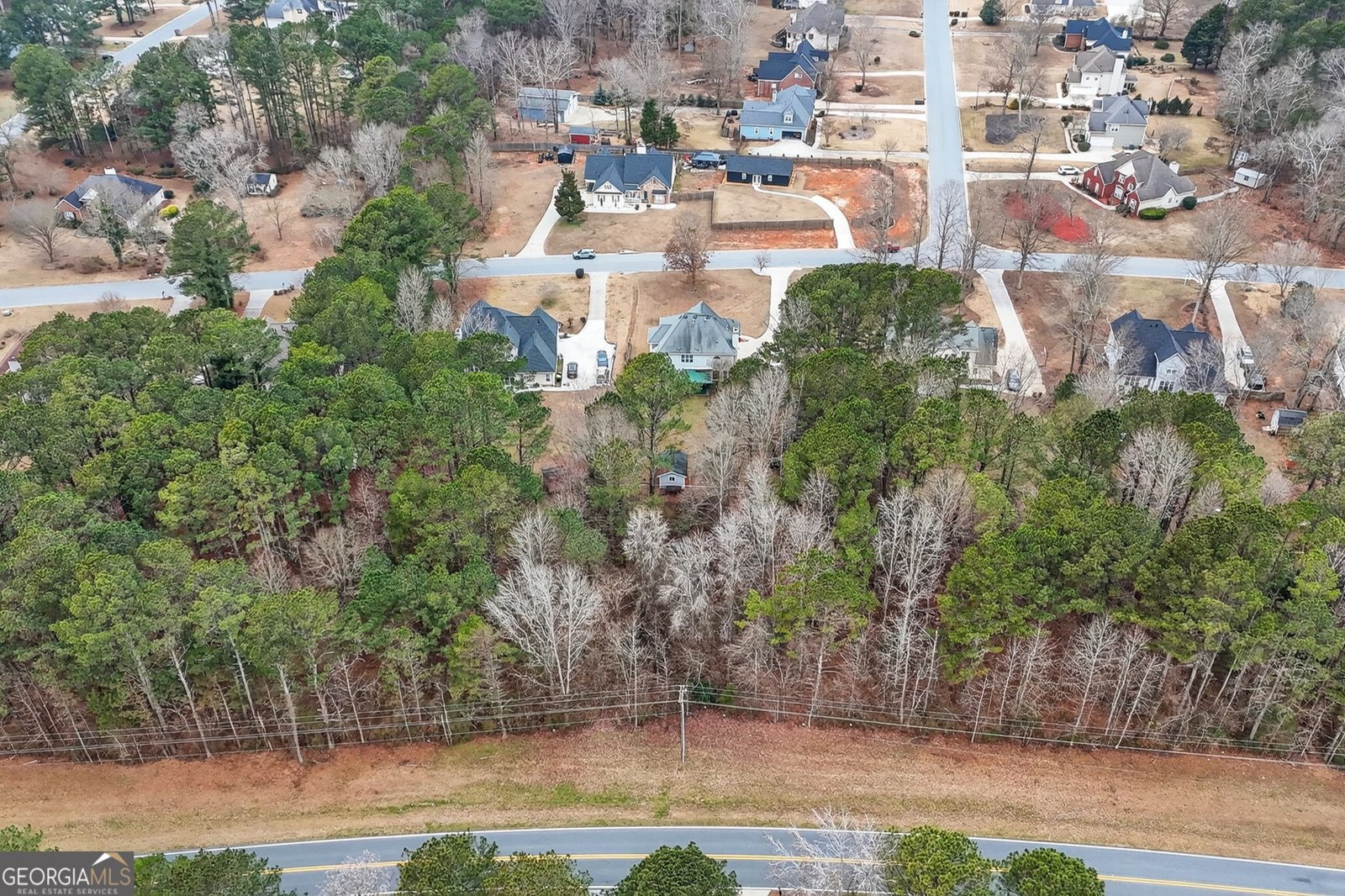 230 Gaelic Way Tyrone - Photo 51