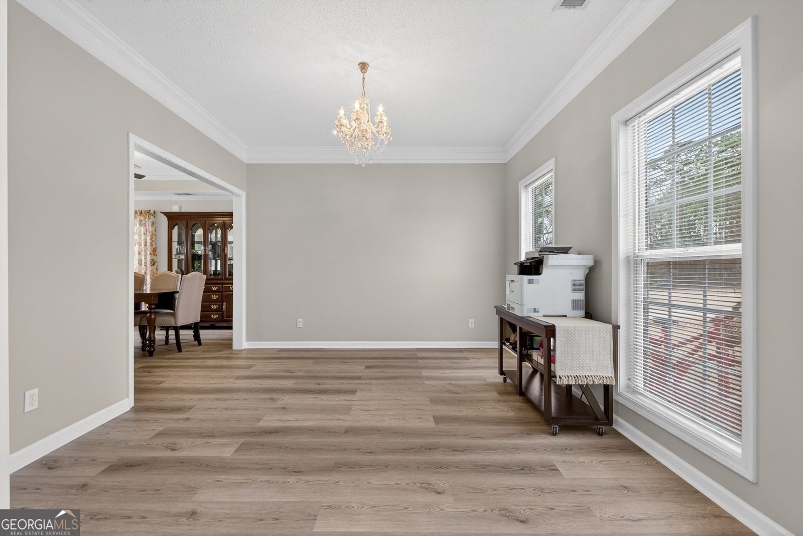 230 Gaelic Way Tyrone - Photo 9