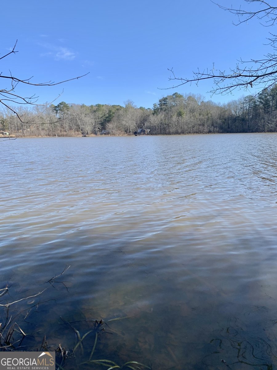 2467 Shady Grove Road Carrollton - Photo 29