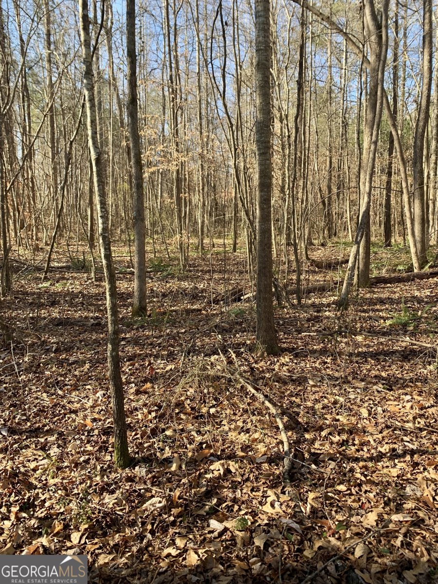 2467 Shady Grove Road Carrollton - Photo 32