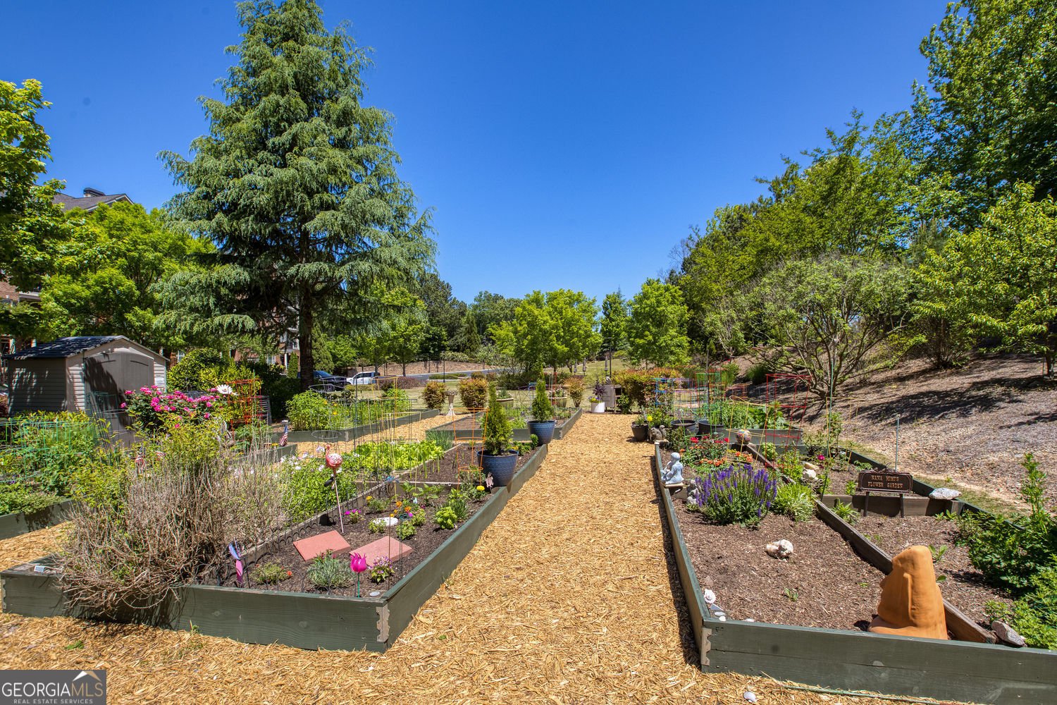 2300 Peachford Road Dunwoody - Photo 6