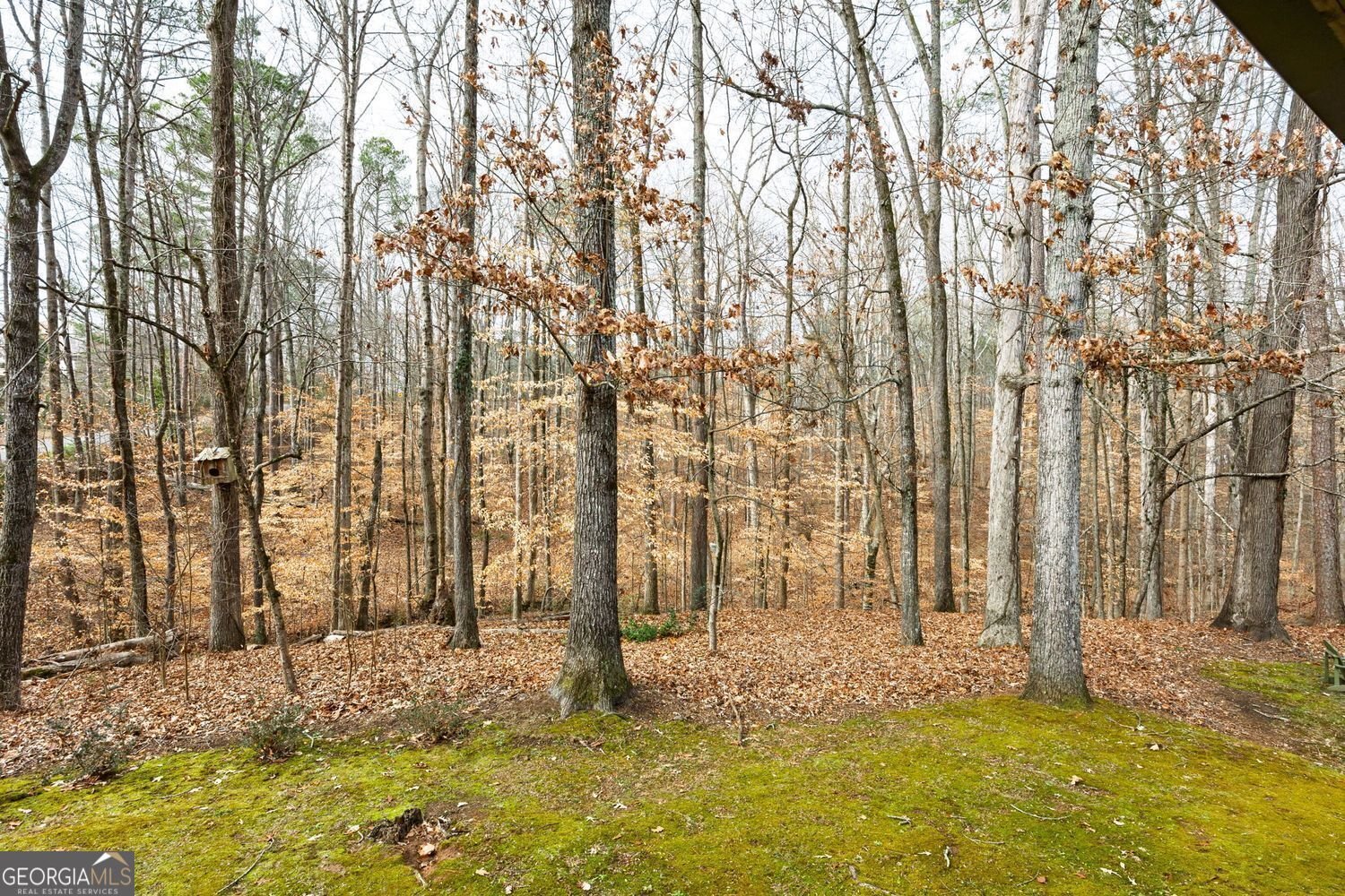 4038 Turnstone Drive Kennesaw - Photo 43