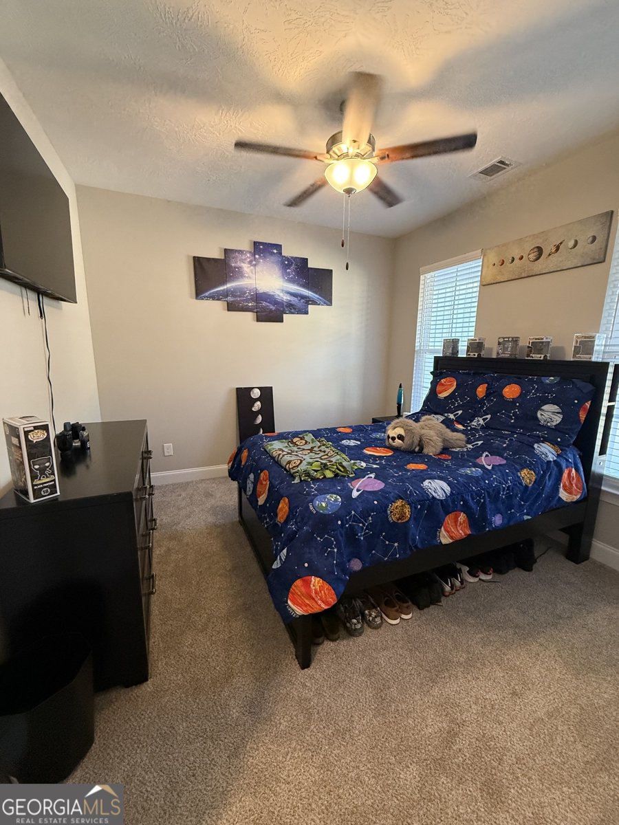 1110 Boneville Road Thomson - Photo 17