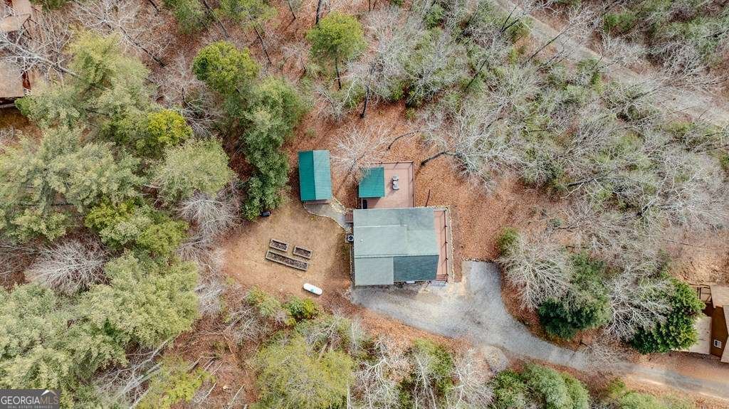 116 Grapevine Ridge Murphy - Photo 17