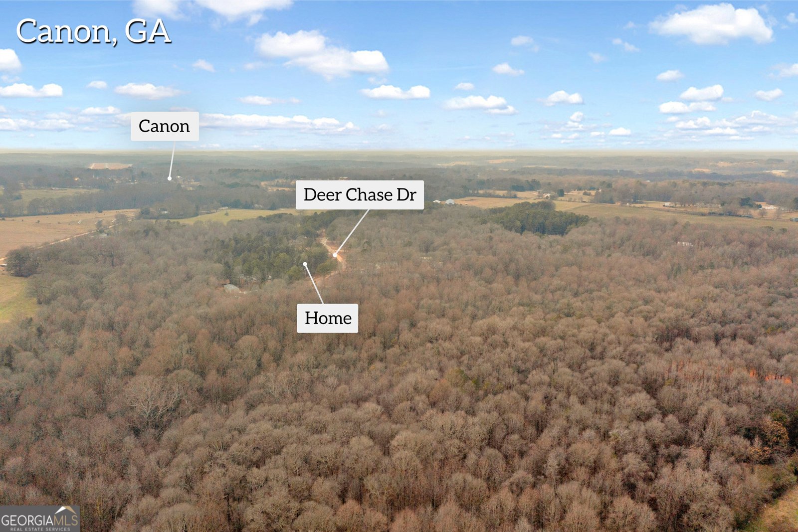 321 Deer Chase Drive Canon - Photo 43