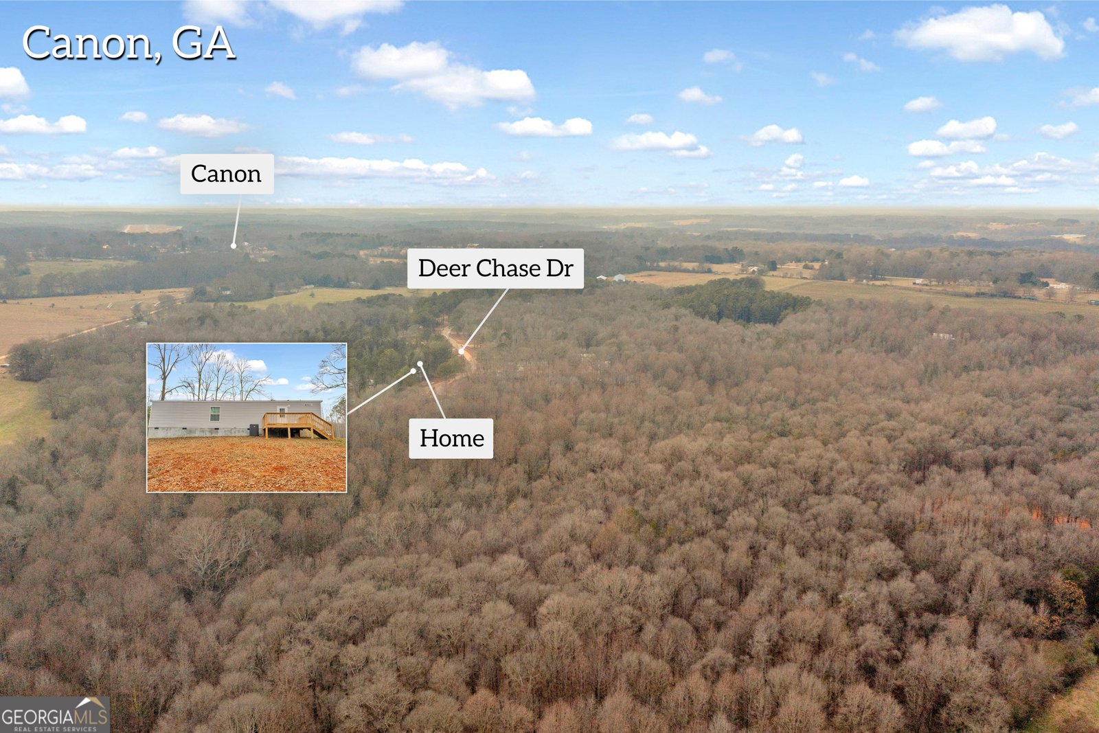 321 Deer Chase Drive Canon - Photo 44