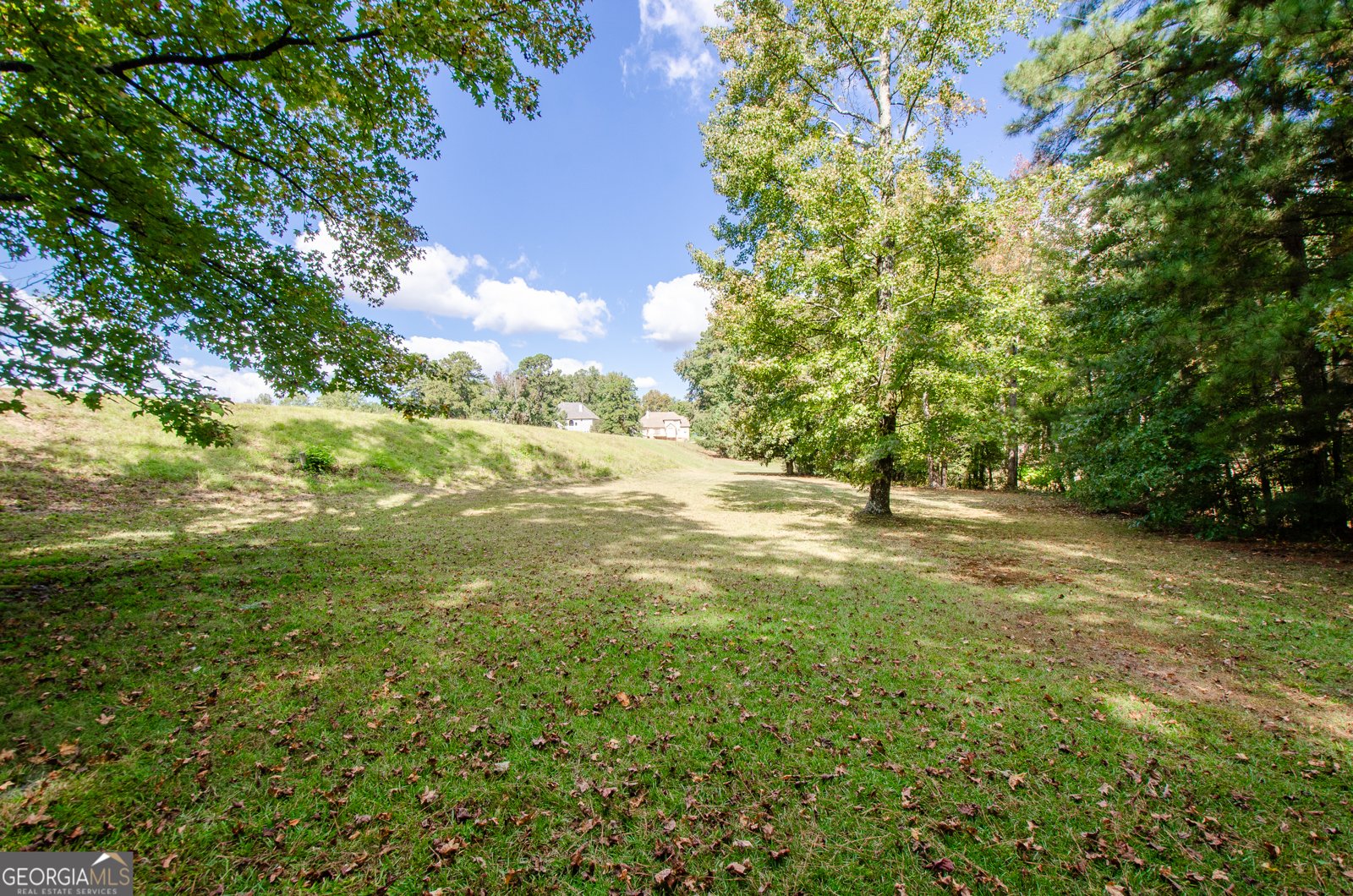 1846 Dorminey Court Lawrenceville - Photo 54