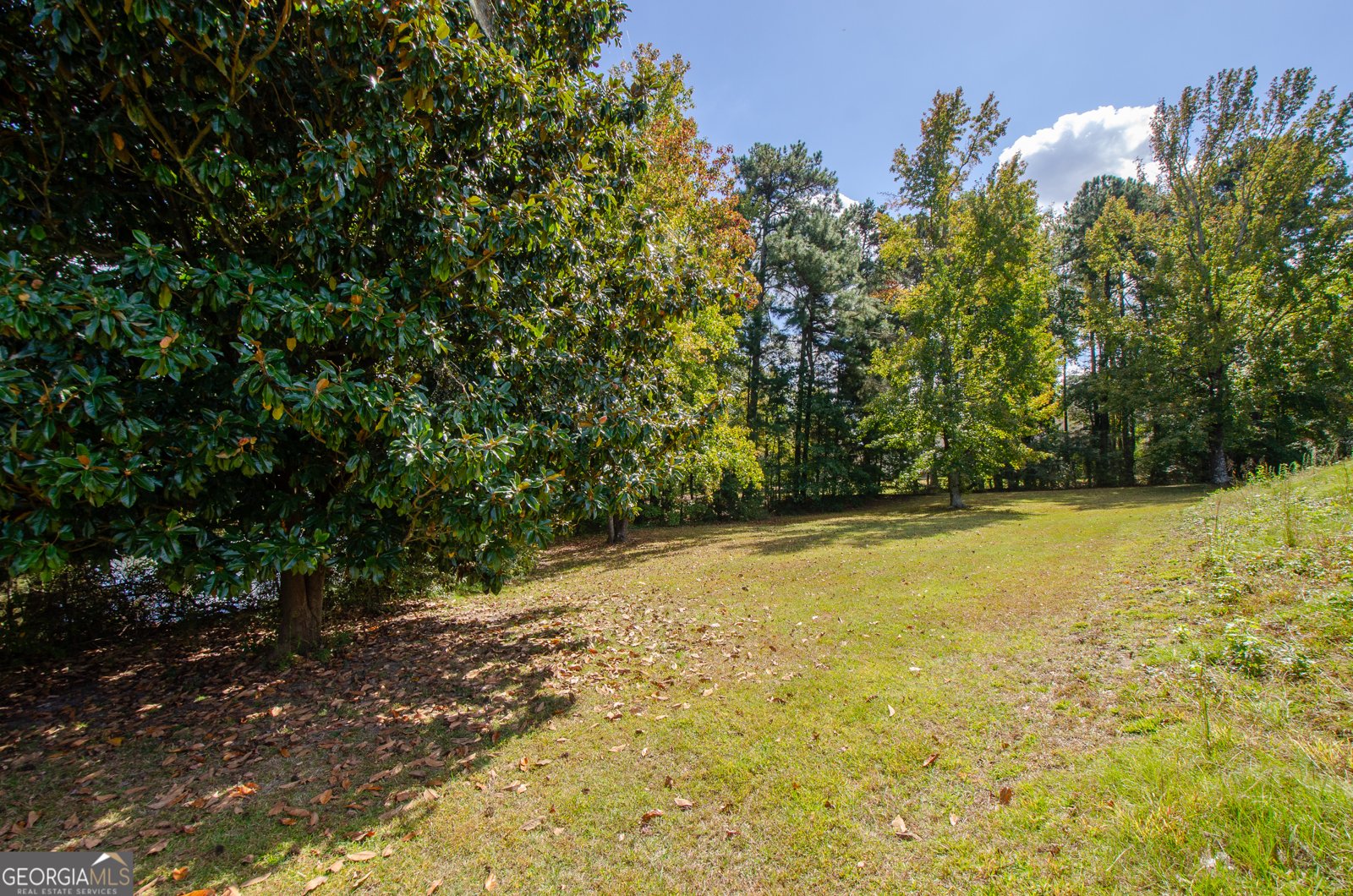 1846 Dorminey Court Lawrenceville - Photo 55