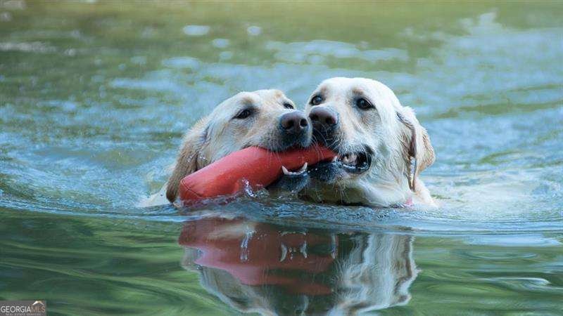 4775 BERKELEY WALK Point Berkeley Lake - Photo 89