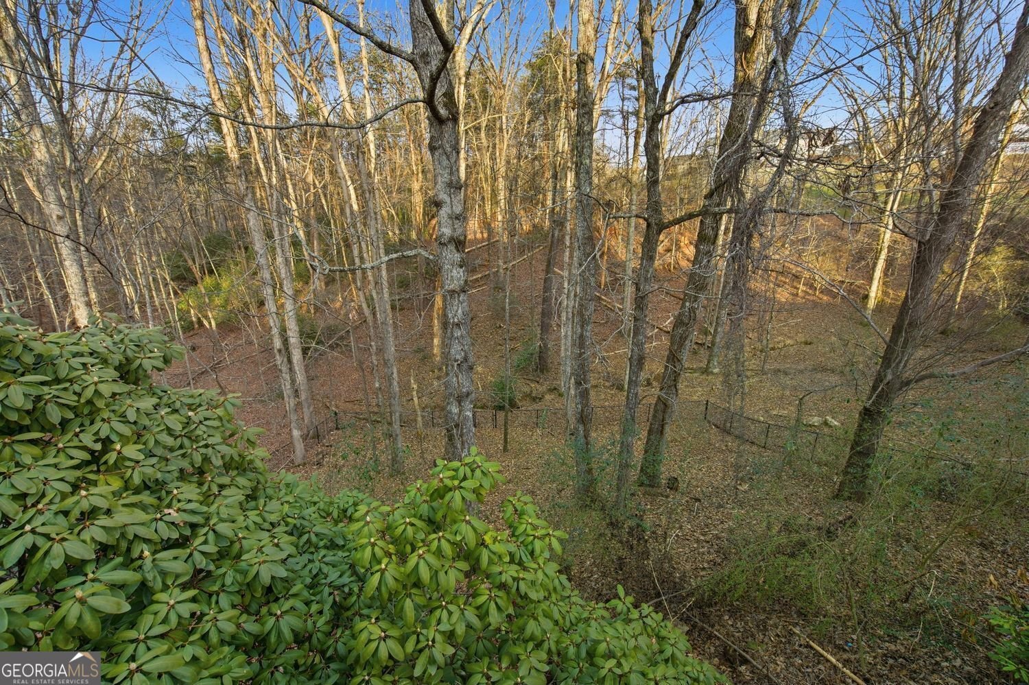 124 Golden Autumn Drive Dahlonega - Photo 50
