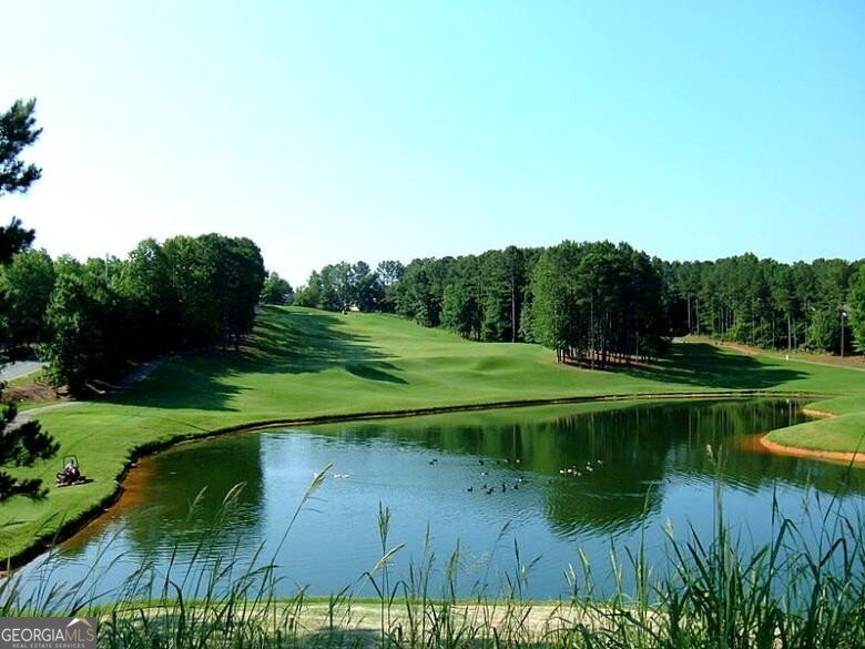 401 Water Oak Court Canton - Photo 71