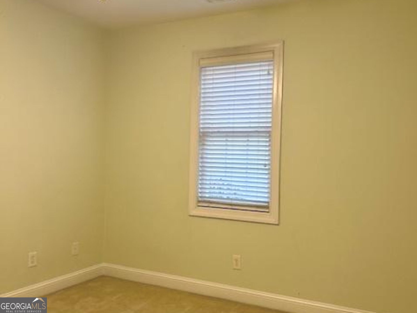 207 Lenox Drive Peachtree City - Photo 52