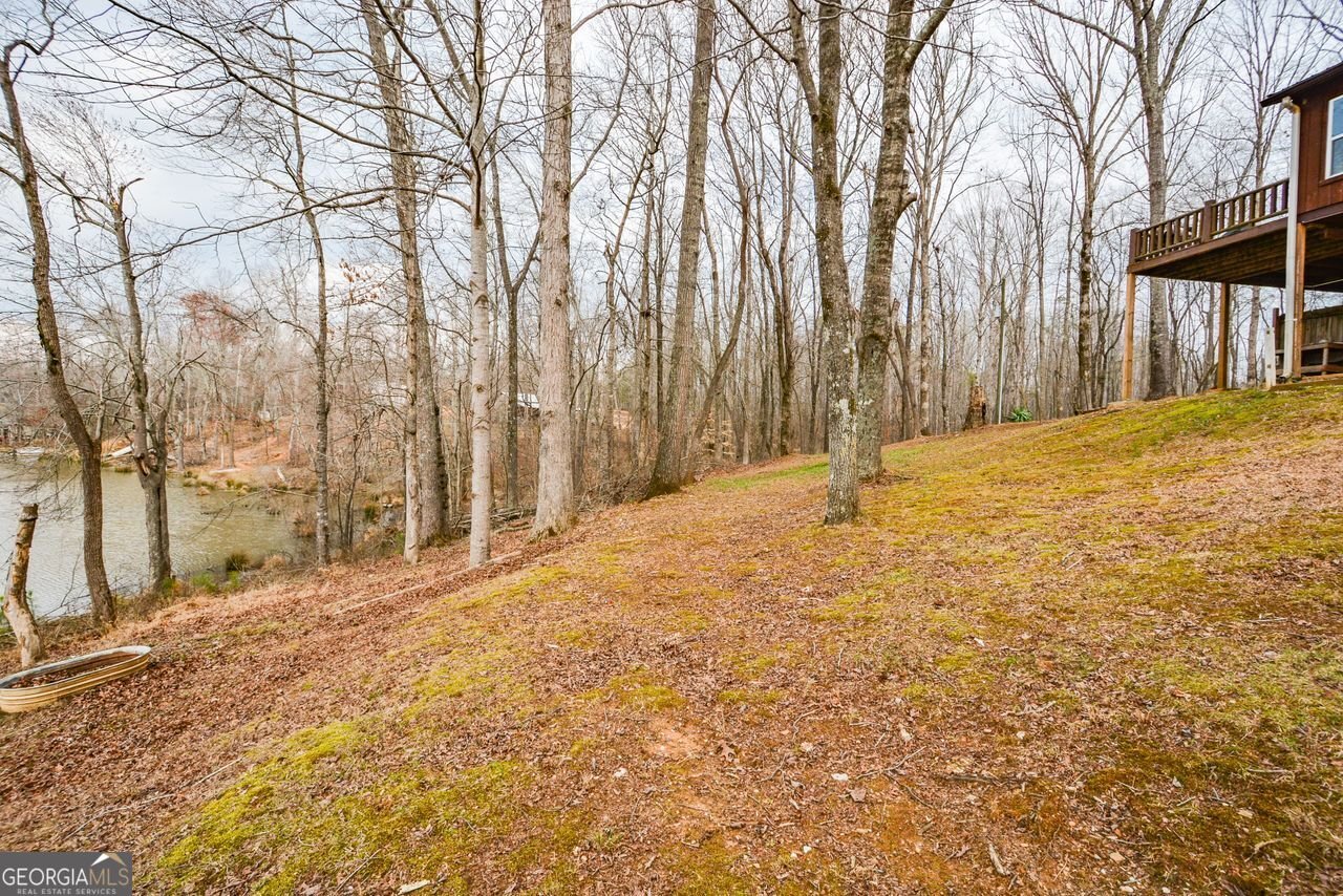 420 Ed Church Road Rockmart - Photo 55