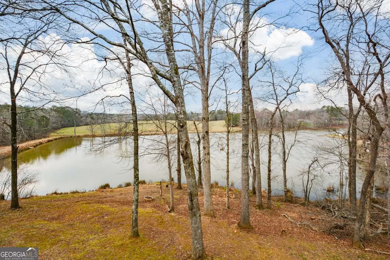 420 Ed Church Road Rockmart - Photo 57