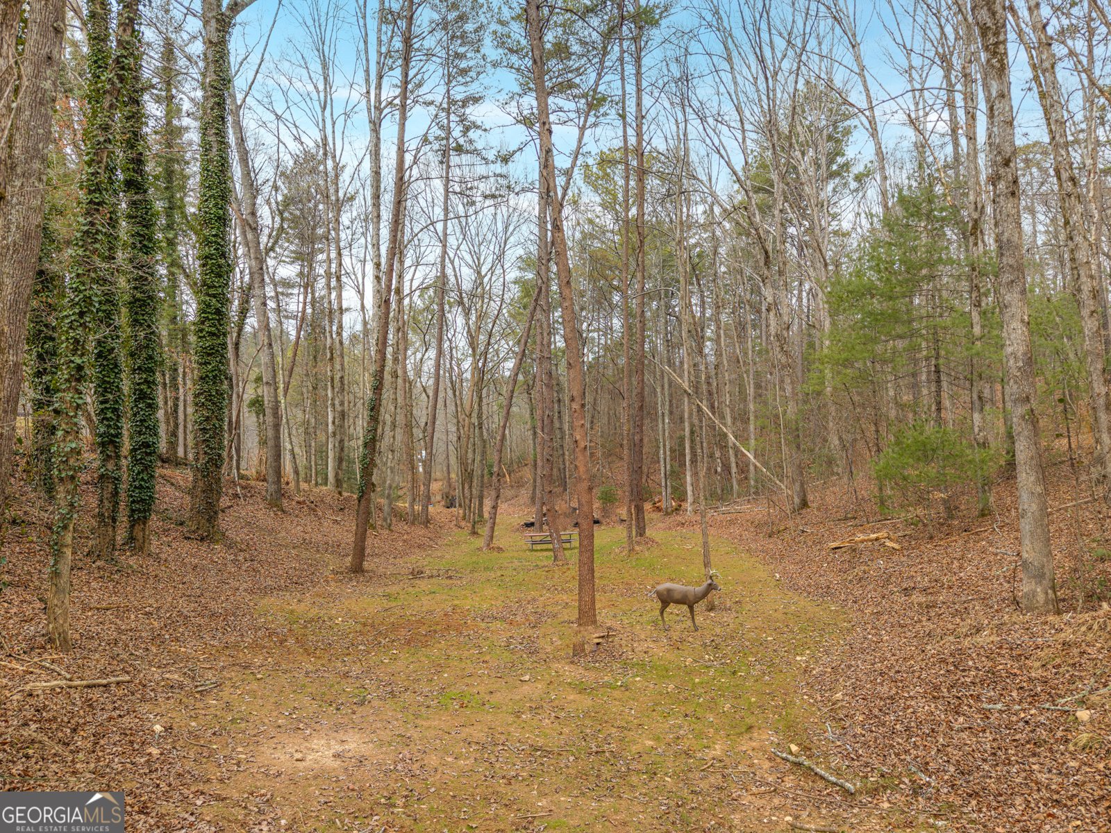 2641 Highway 52 Ellijay - Photo 35