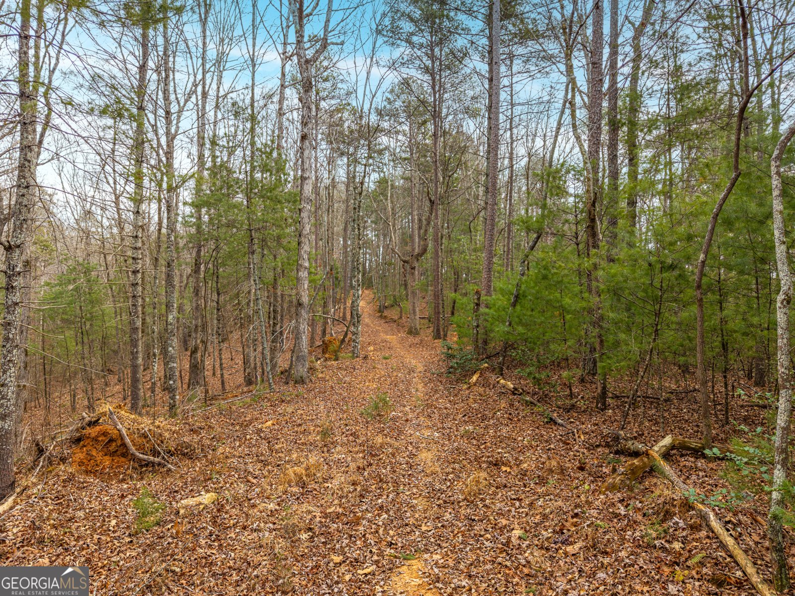 2641 Highway 52 Ellijay - Photo 36