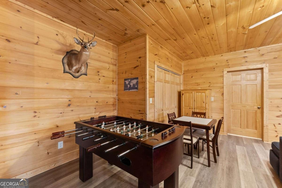 437 Spruce Circle Mineral Bluff - Photo 29