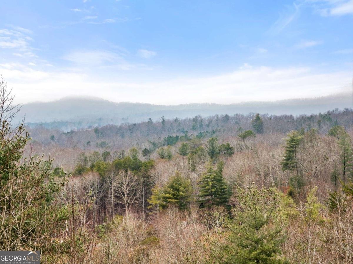 437 Spruce Circle Mineral Bluff - Photo 43