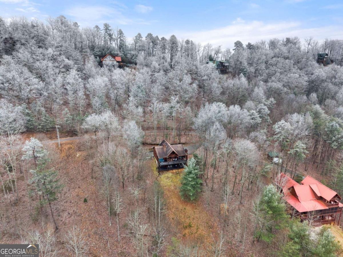 437 Spruce Circle Mineral Bluff - Photo 47