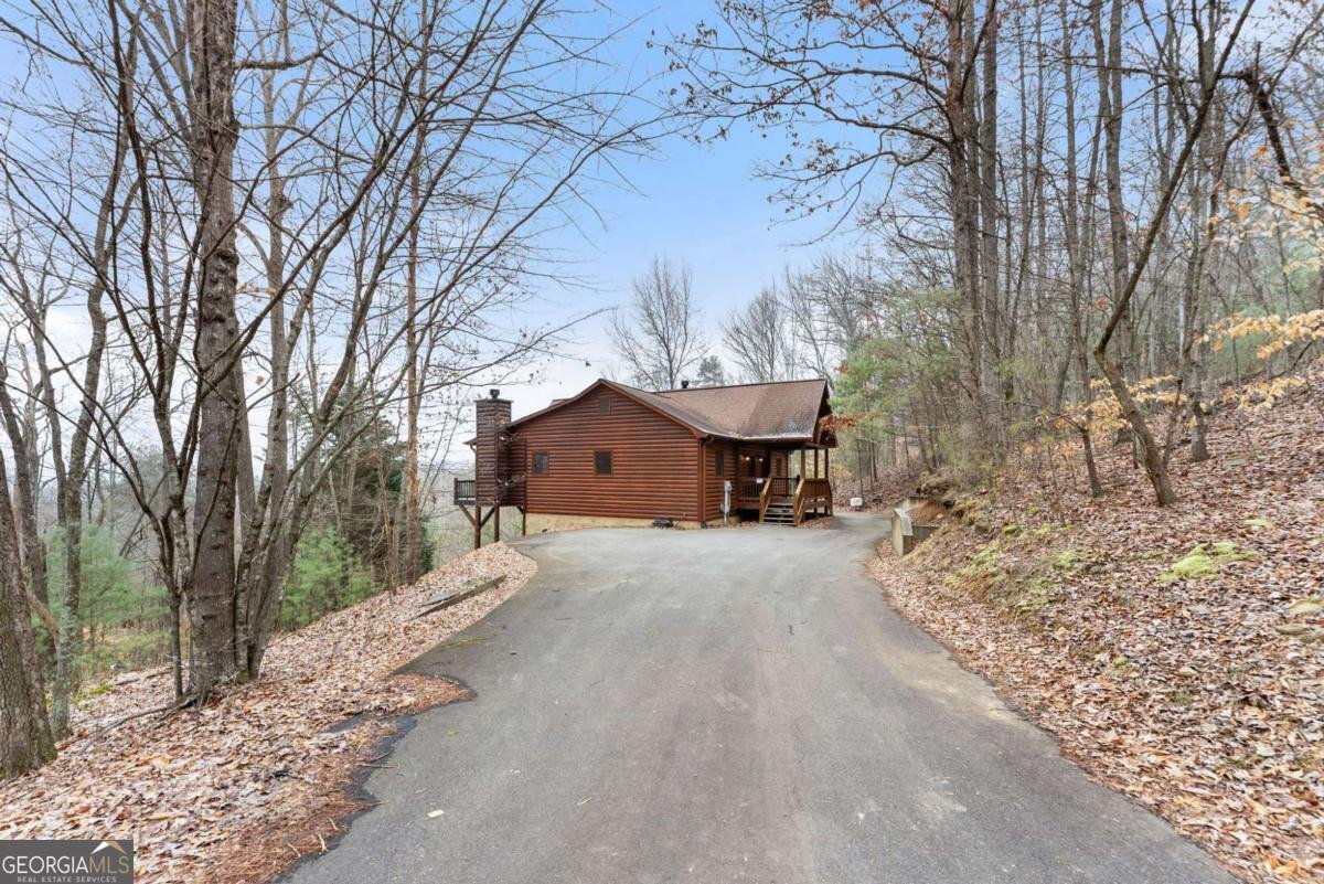 437 Spruce Circle Mineral Bluff - Photo 51