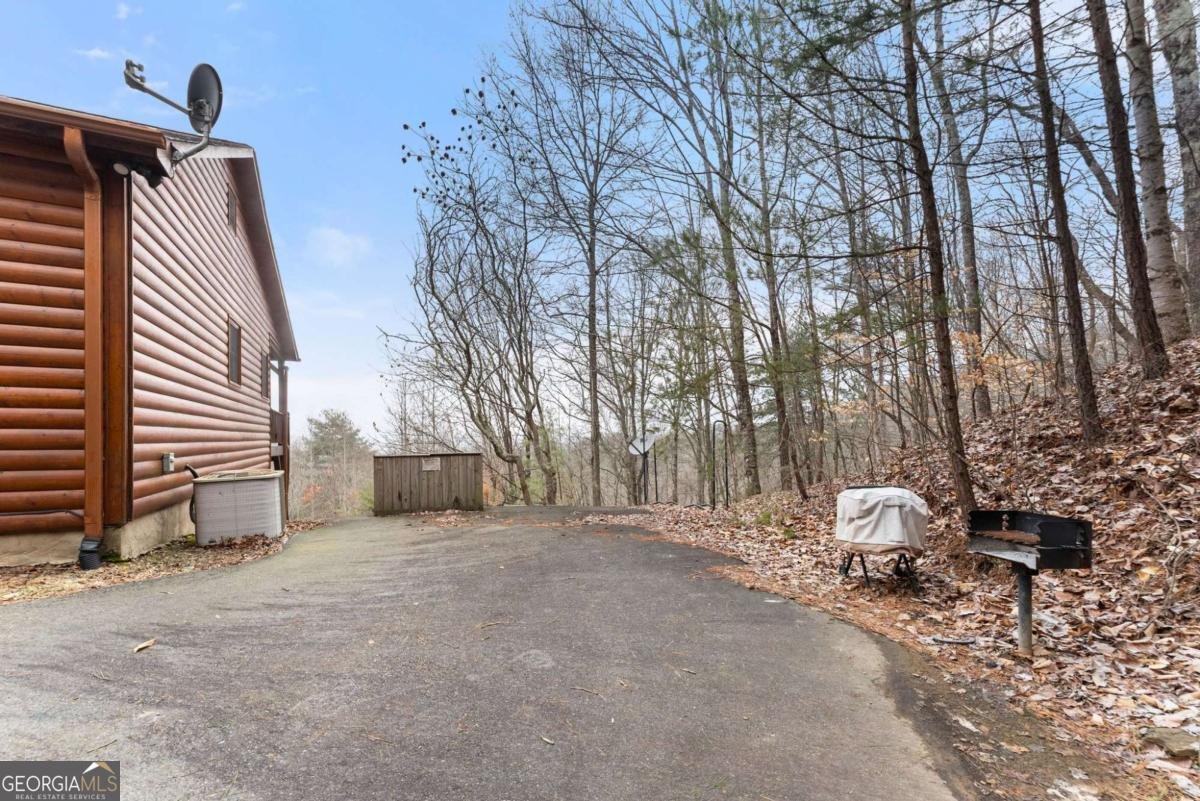 437 Spruce Circle Mineral Bluff - Photo 52