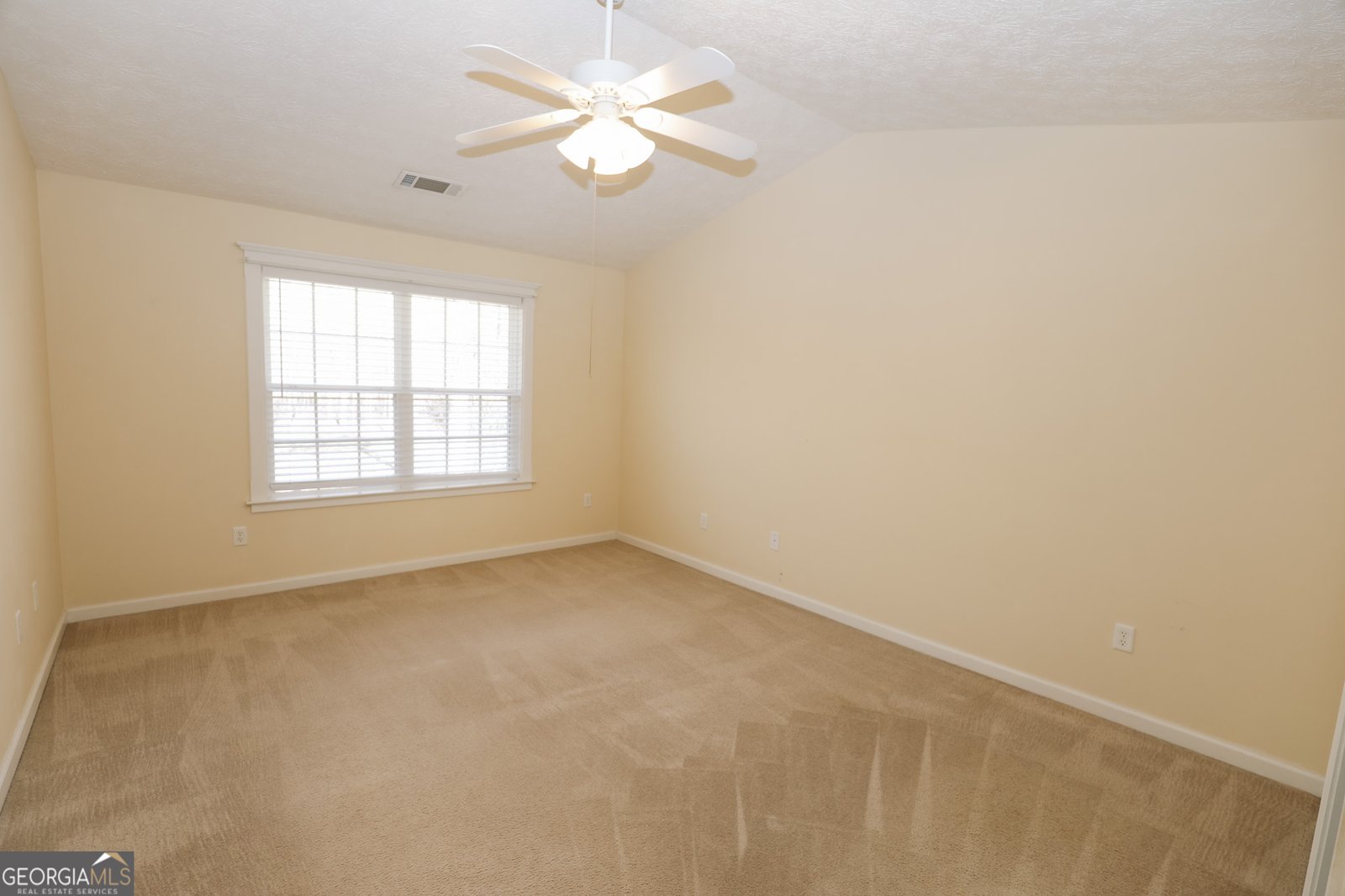 430 Gable Road Senoia - Photo 24