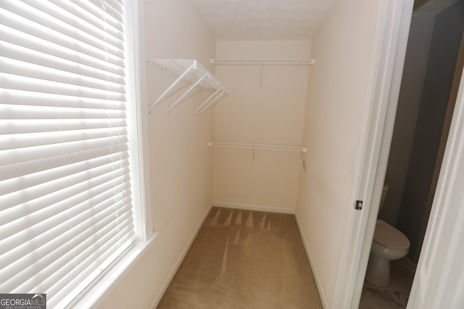 430 Gable Road Senoia - Photo 32