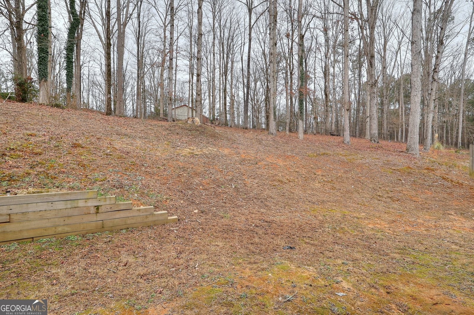 4069 Anthony Creek Drive Loganville - Photo 36