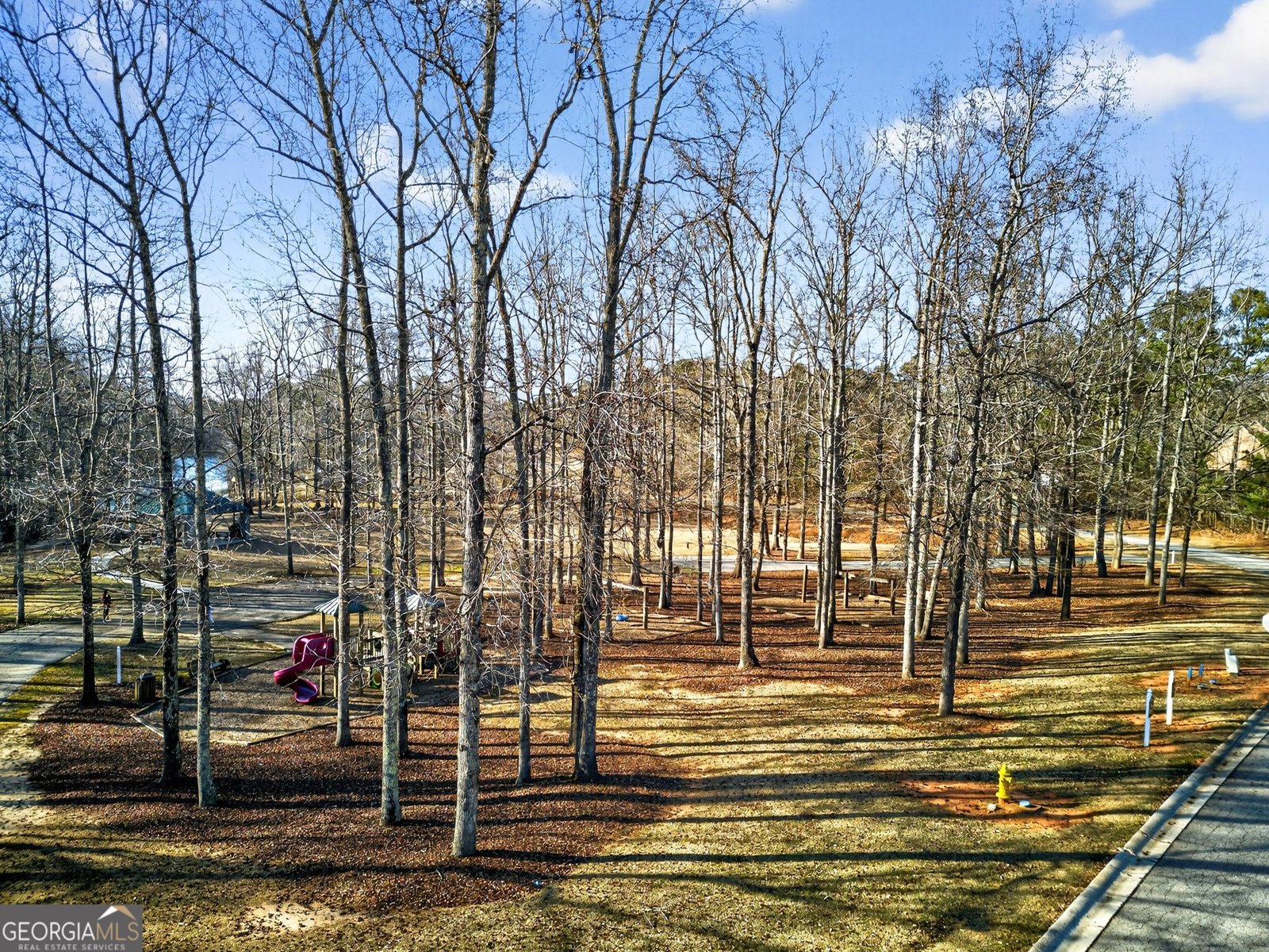 211 Lake Chase Dr N Griffin - Photo 40