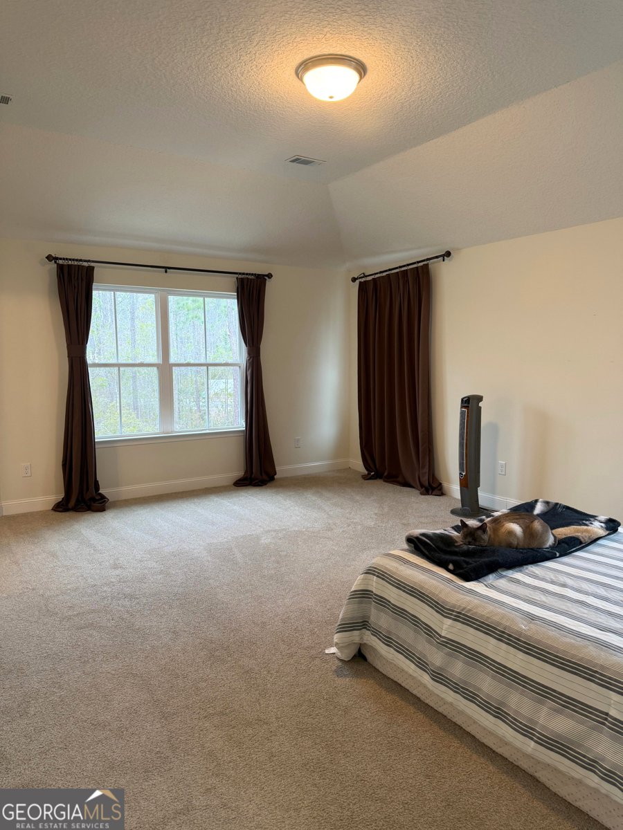 163 Chaffseed Circle Hinesville - Photo 27