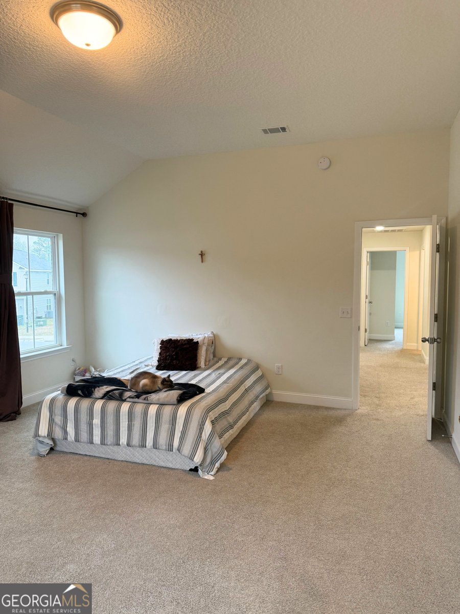 163 Chaffseed Circle Hinesville - Photo 28