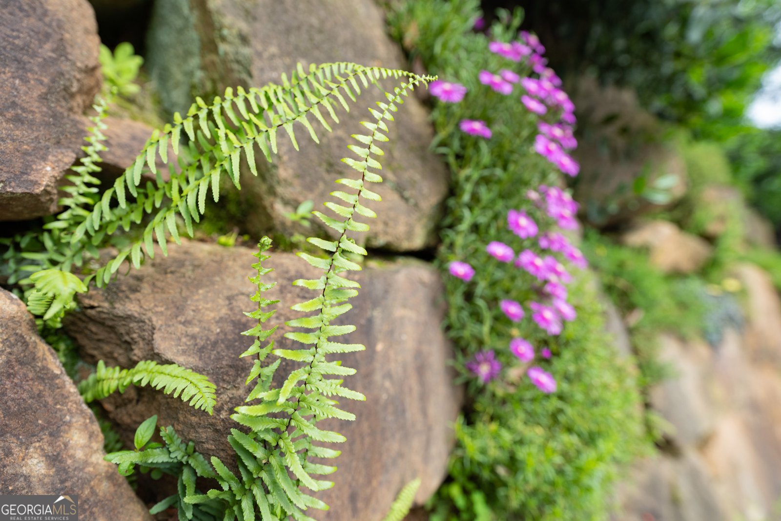 295 Goble Gap Road Clayton - Photo 43