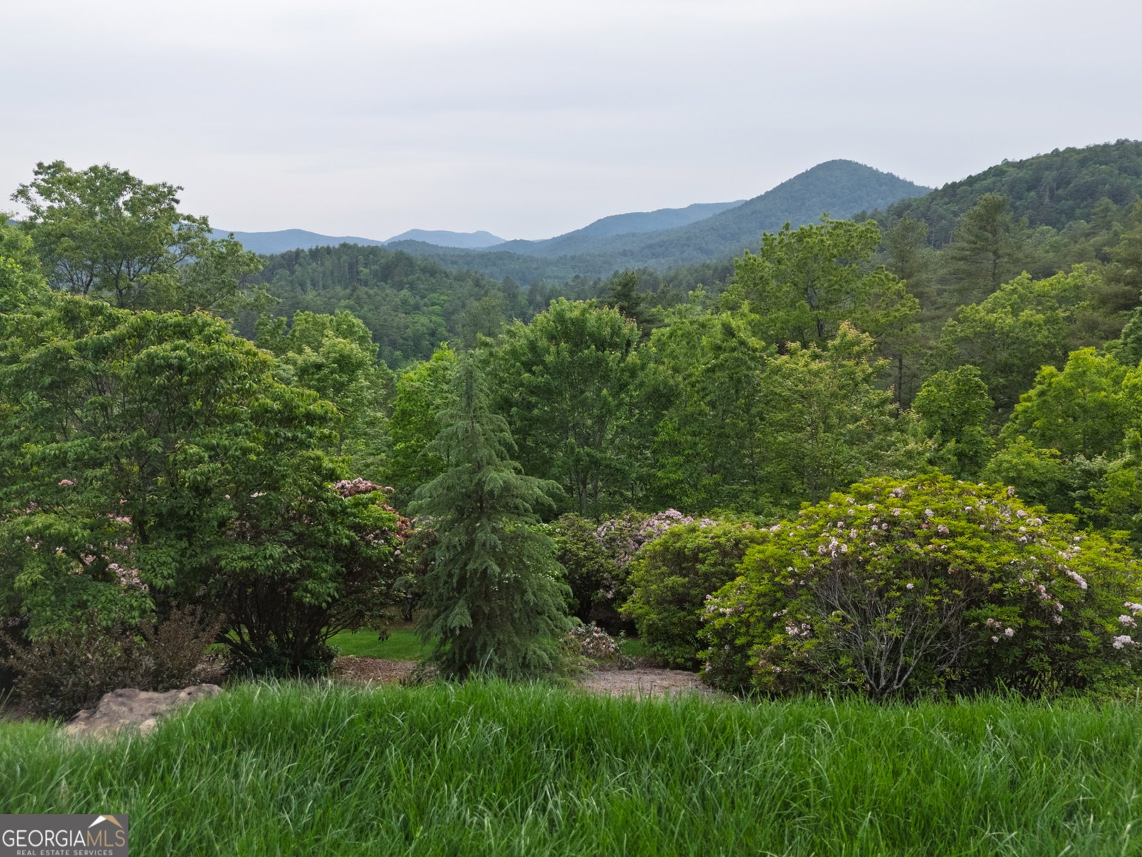 295 Goble Gap Road Clayton - Photo 56