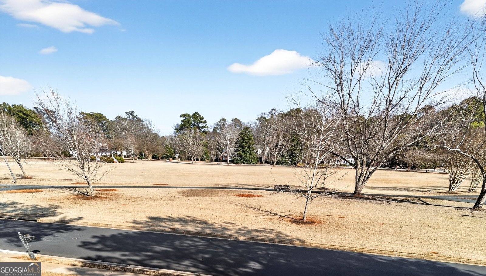 225 Summerfield Place Fayetteville - Photo 70