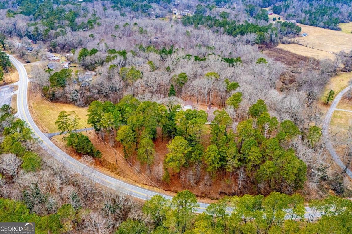 280 Hwy 120 Tallapoosa - Photo 87