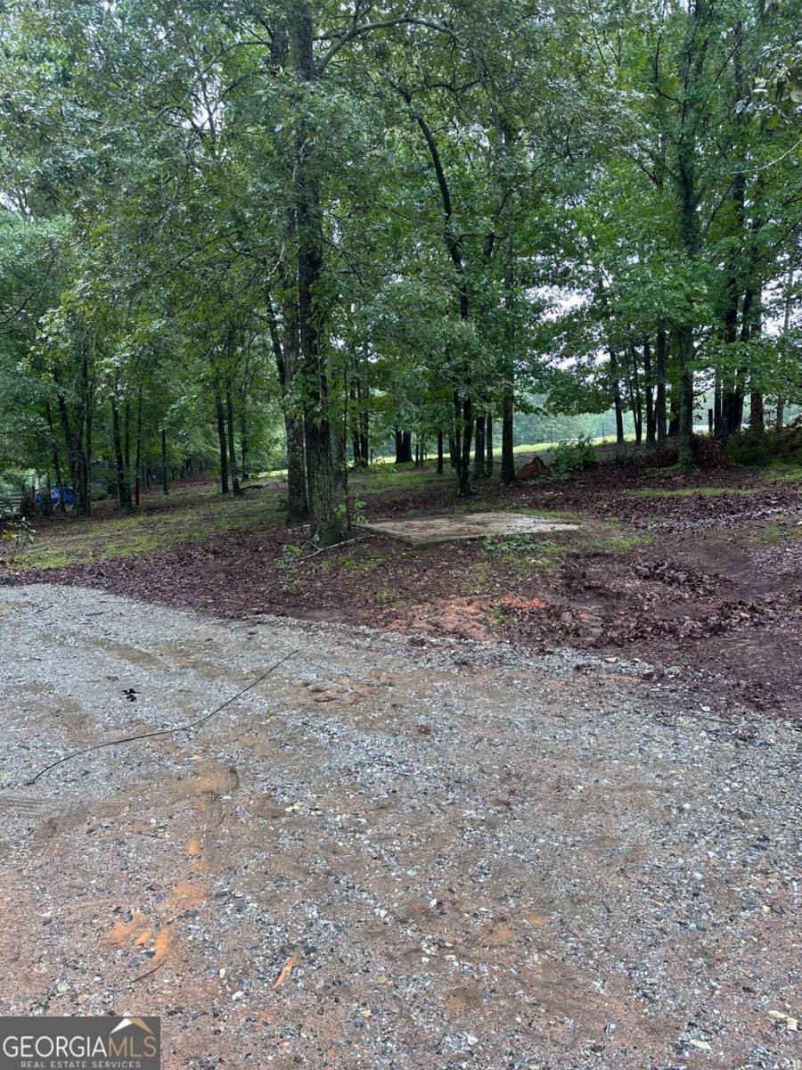 441 Wages Road Auburn - Photo 13