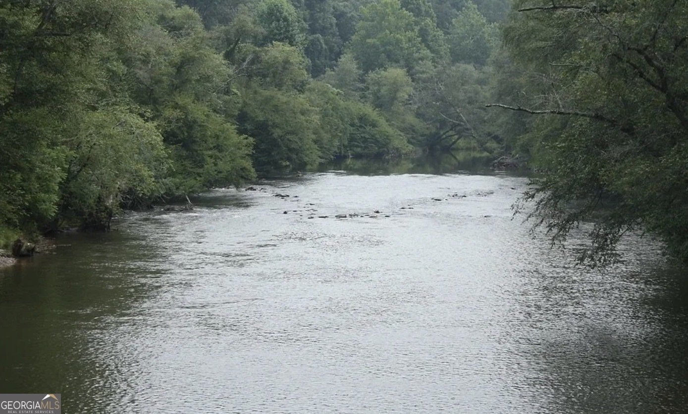 1204 Garnet Ellijay - Photo 35