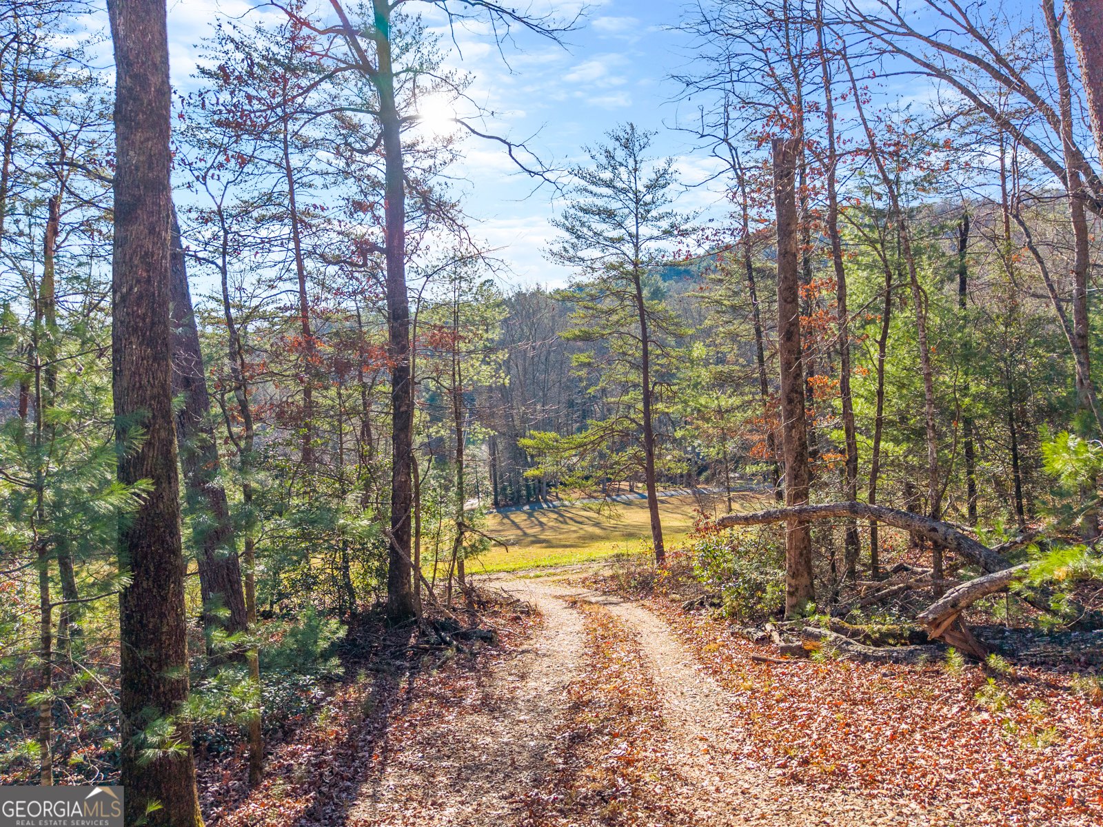 121 Waterfalls Way Clarkesville - Photo 12