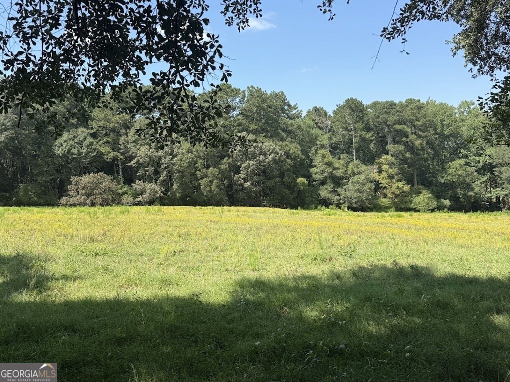 1237 Carl Bethlehem Road Winder - Photo 25